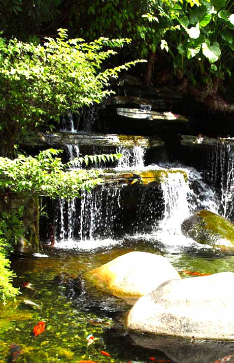 tomsonsPondPodMaintenance