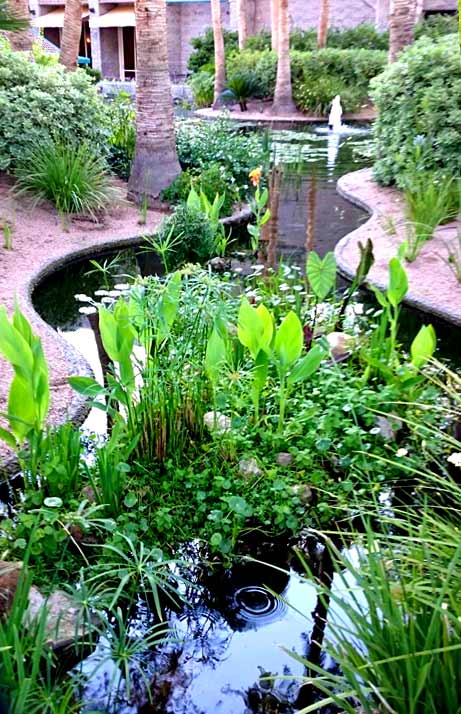 tomsonsPondPodMaintenance2a2