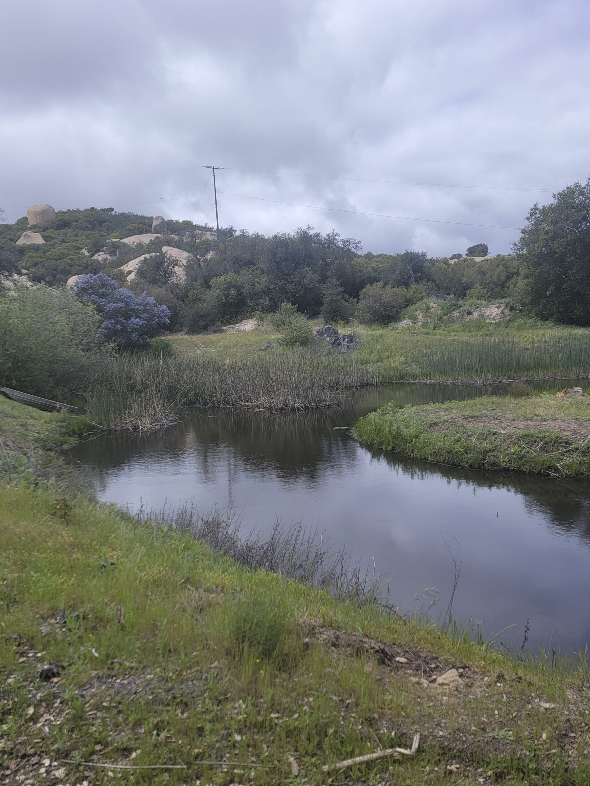 Managed lake channel during a cool cloudy season
