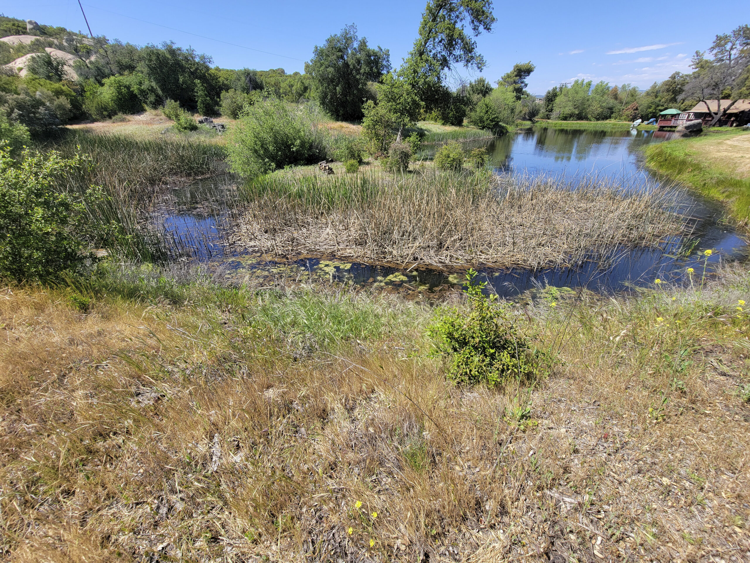 Alpine lake before ongoing aquatic restoration and seasonal management