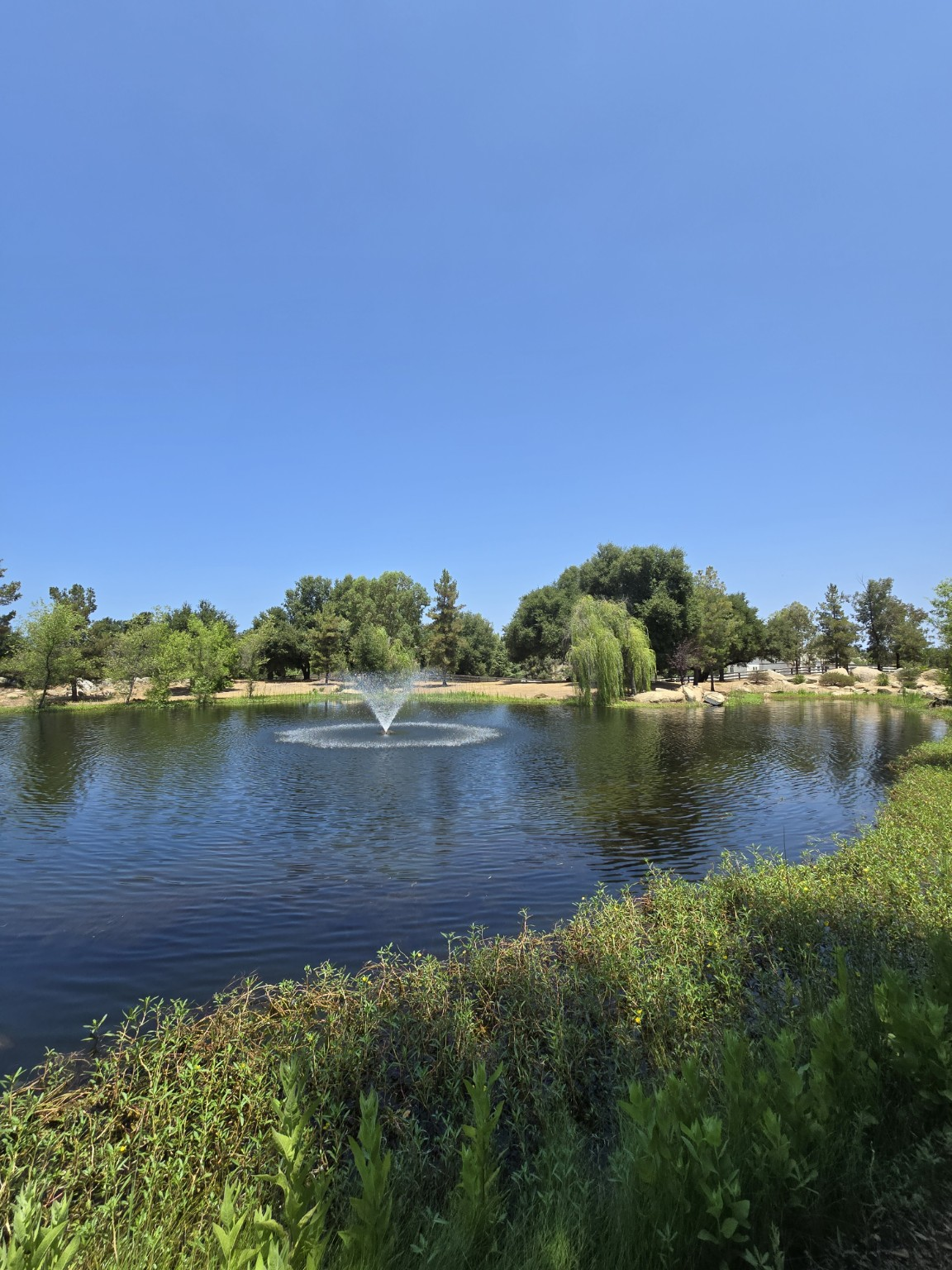Clear pond with fountain