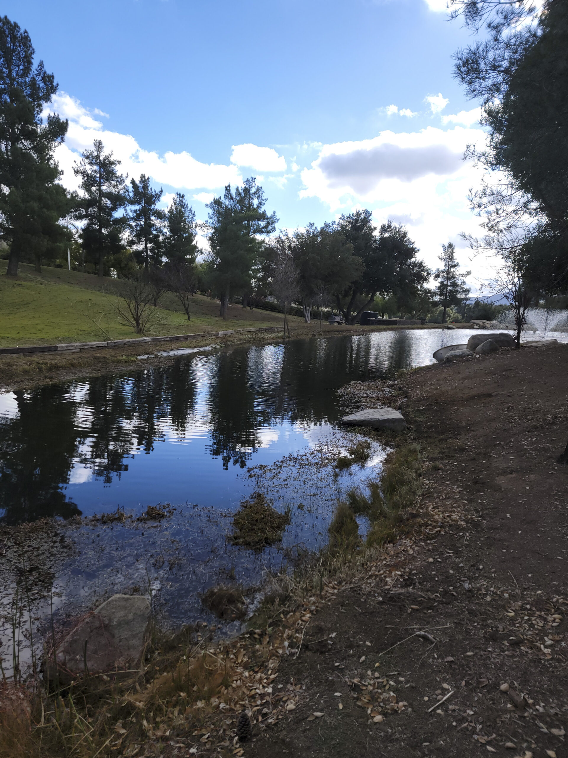 Clear pond water and restored shoreline