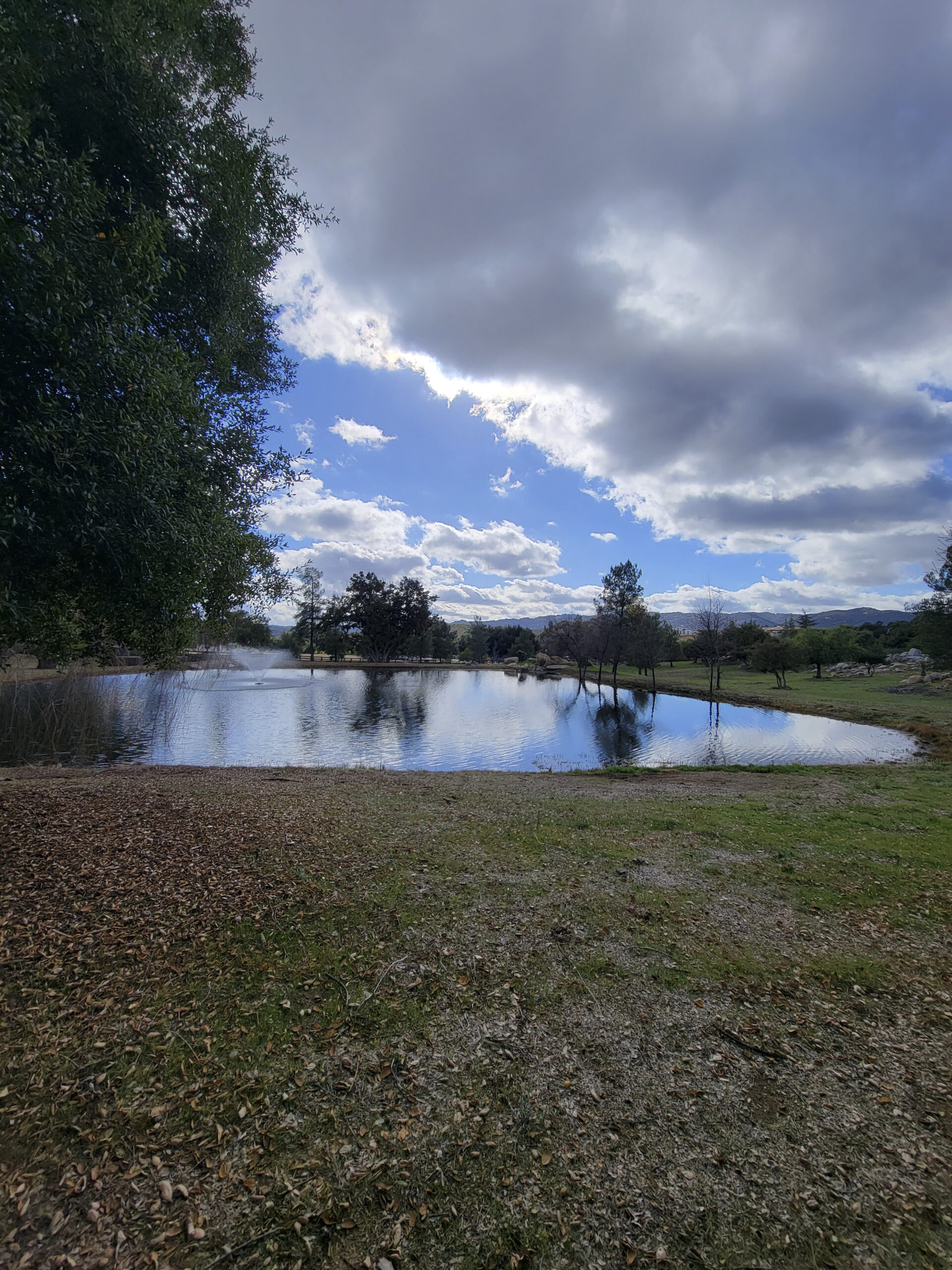 Wide view of the clear pond after restoration